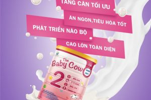 Chọn Sữa non The Baby Cow 2: Giúp trẻ bổ sung kháng thể tự nhiên và tăng cường hấp thu.