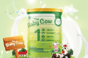 Sữa Non The Baby Cow Có Tốt Không? Mua Ở Đâu? Giá Bao Nhiêu?