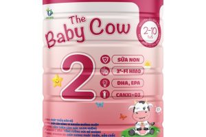 The Baby Cow 2 – chìa khóa cho hệ miễn dịch